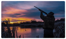 DNSEMP-C-303 Hunting